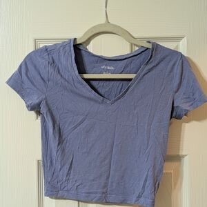Wild Fable Periwinkle V-Neck Crop Top